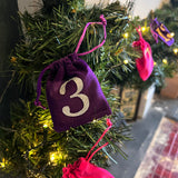 Reusable 24 Day Advent Calendar