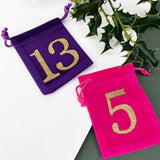 Reusable 24 Day Advent Calendar