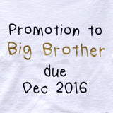 Promotion To Big Brother Or Sister Reveal T Shirt